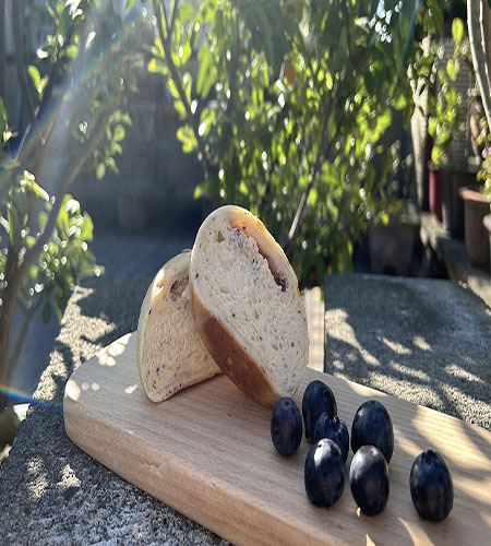 藍莓乳酪圓圓包